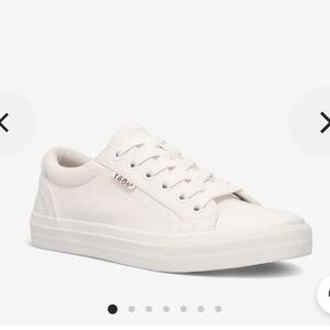 Taos Footwear Cream Sneakers